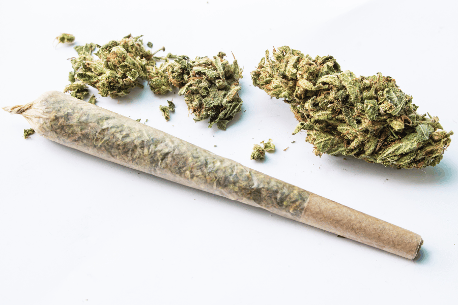 THCA pre-roll joint and cannabis flower buds on white background for premium hemp blog