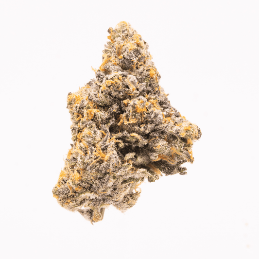 Close-up of a Biscotti x Ether bud with dense trichomes and vibrant purple hues on pale green.