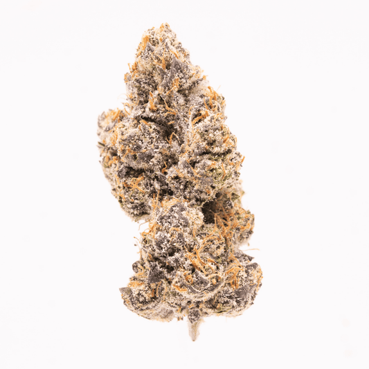 Single Sideshow THCa bud with dense structure and purple-green hues against a white background.