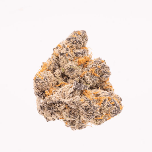 Single Super Lemon Cherry Gelato #6 nug on white, highlighting its dense structure and trichomes.