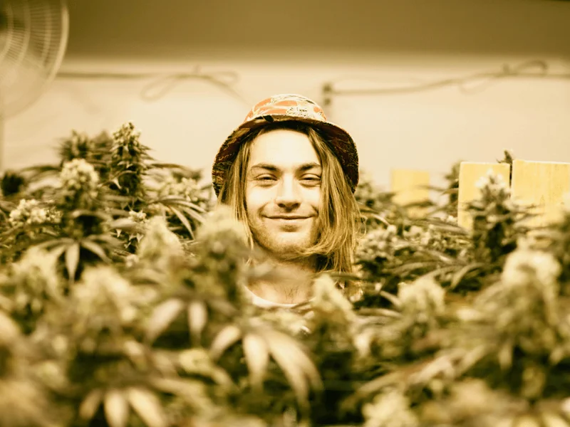 Redefining Wellness: Alive & Well's Commitment to the Hemp Industry — Alive & Well Hemp Blog