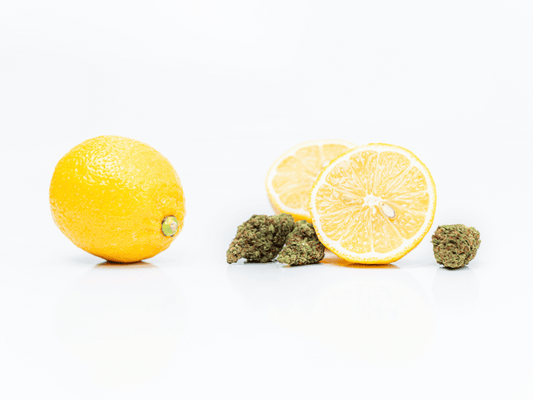 Fresh lemons and cannabis buds side by side, highlighting the citrus aroma of limonene, a key terpene in cannabis known for its uplifting effects.