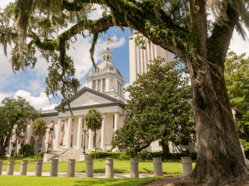 Historic courthouse surrounded by lush greenery under a clear blue sky in Florida, symbolizing the state's evolving legal landscape for THCa regulations.