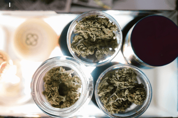 Glass jars filled with high-quality THCA flower stored in a cool, dark space to preserve potency and terpenes