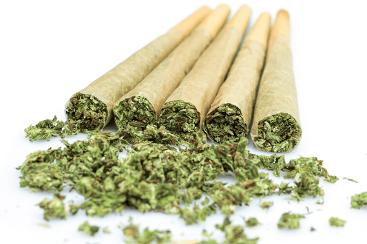 Close-up of five THCA pre-rolls with loose cannabis flower scattered on a white background.