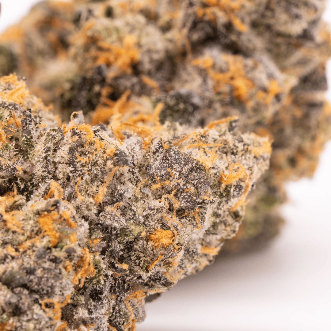 Sharp image of a Biscotti x Ether flower, emphasizing its lush, frosty trichomes against a rich green background.