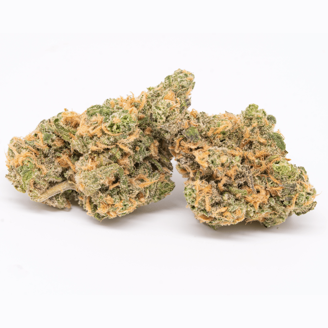 Blue Dream cannabis bud against a white background, displaying compact, crystal-covered green and orange structure