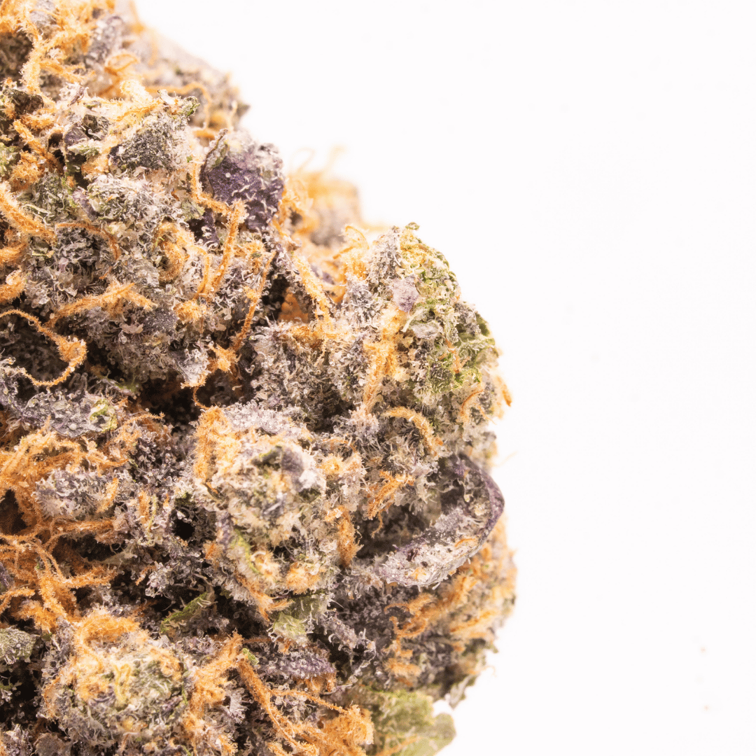 Close-up of a Face on Fire THCa bud, showcasing vivid green, orange, and purple hues.