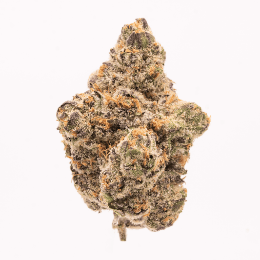 Close-up of Fruit Jelly THCA Flower bud, showcasing dense trichomes and vibrant purple hues.