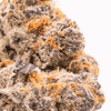 Detailed shot of a single Super Lemon Cherry Gelato bud, showing a thick coating of crystals and contrasting orange hairs over a purple and green background.