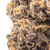 Close-up of White Runtz bud displaying detailed trichomes and deep purple and orange coloration.