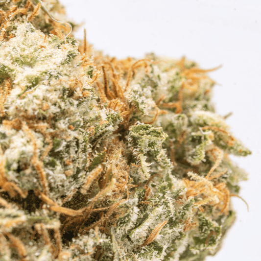 Close-up of Chem Haze THCa flower with visible trichomes and compact structure.