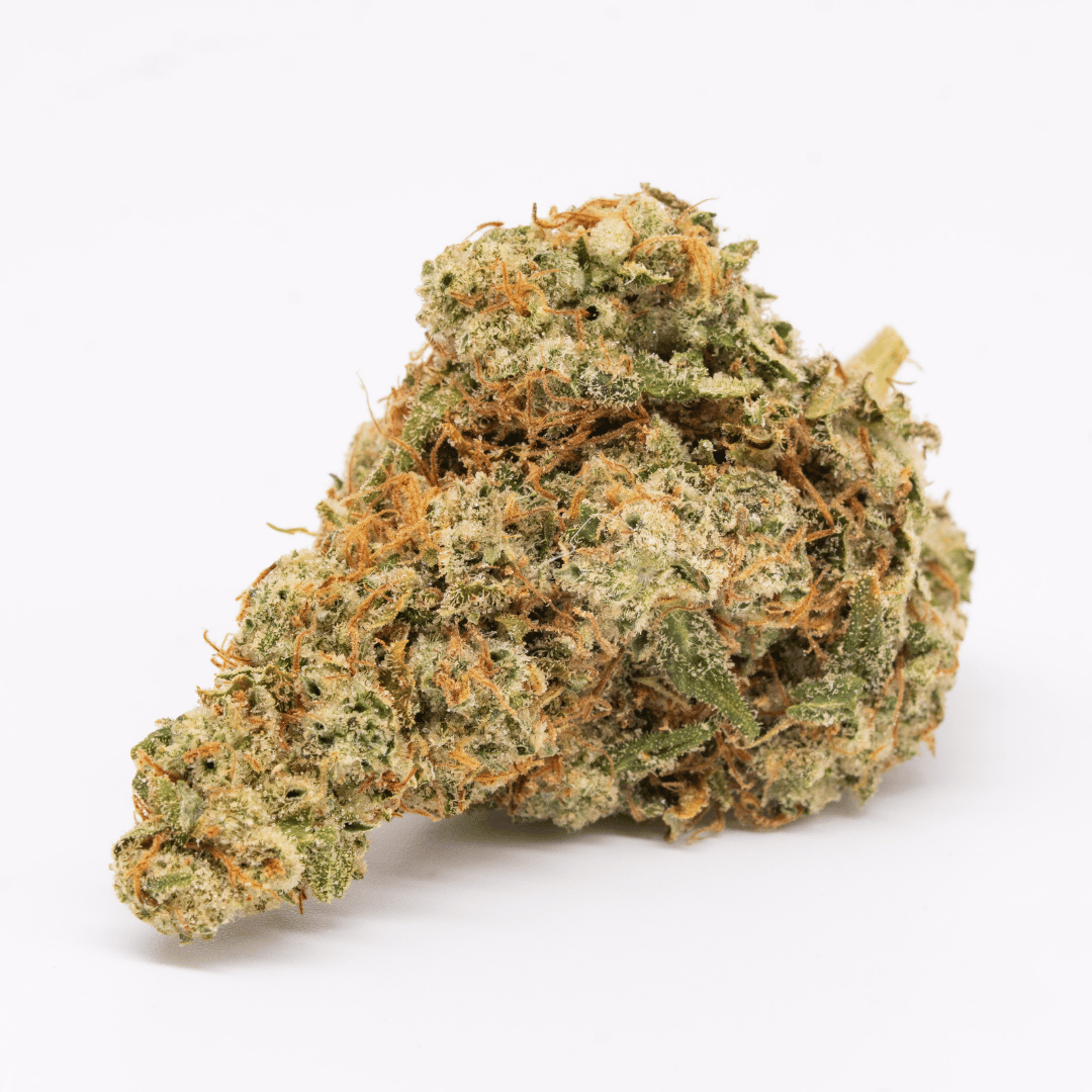 Single large Chem Haze THCa bud, displaying its frosty trichome coating and sativa structure.