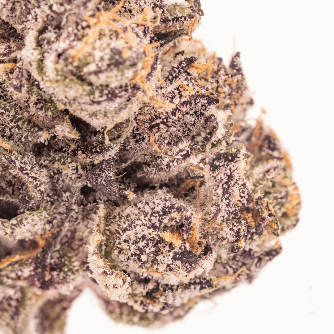 Side profile of Headbanger THCa flower bud highlighting rich textures.