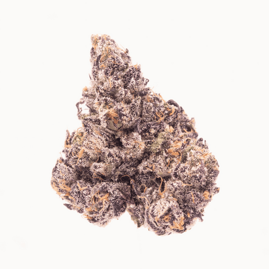 Single dense bud of Headbanger THCa flower showcasing detailed structure.