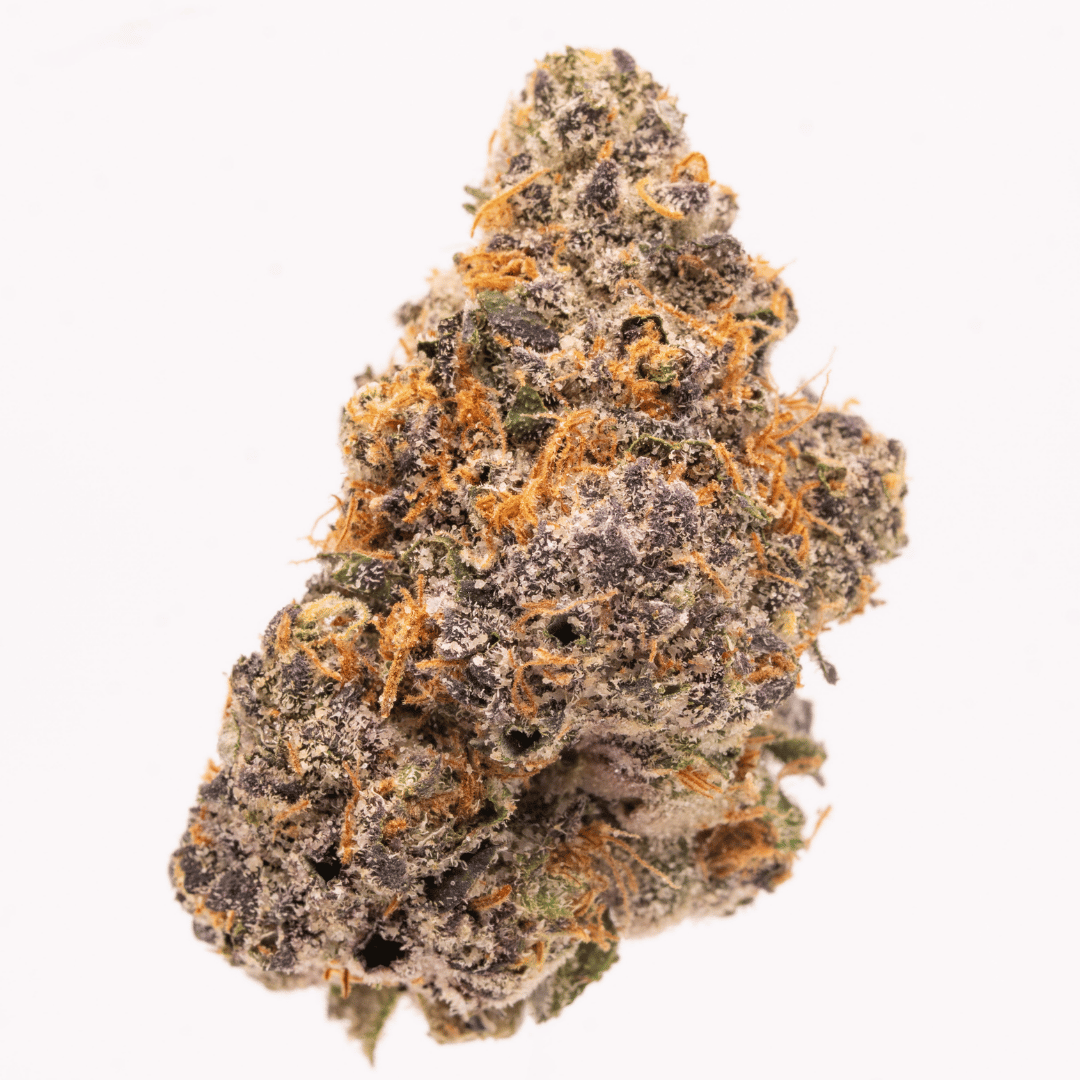 Full view of a Jilly Bean THCa bud with dense structure, orange pistils, and green-purple hues.