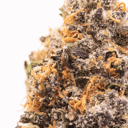 Close-up of Jilly Bean THCa bud trichomes, showcasing its resinous coating and sparkling crystals.