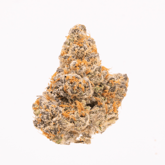 Single Lemon Head THCa Flower Bud with Dense Structure