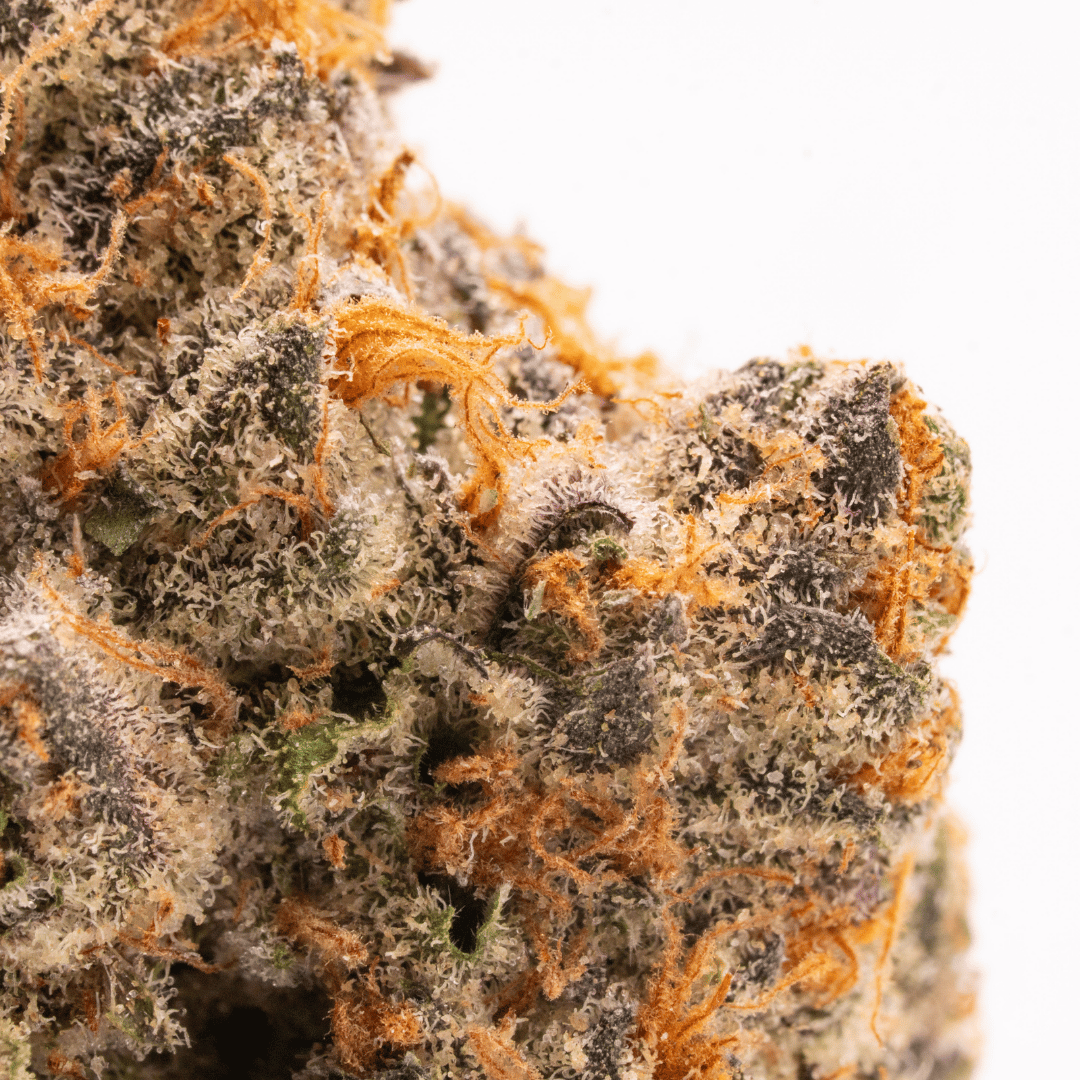 Vibrant trichomes on Lemon Head THCa flower, highlighting the strain's potent citrus aroma and sativa effects.